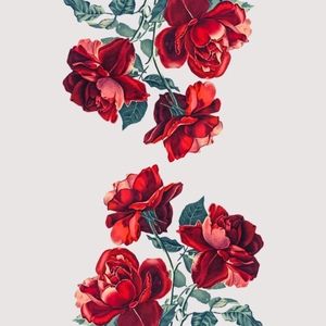 Meet your Posher, Julisa